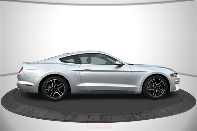 Ford Mustang EcoBoost Fastback 2019