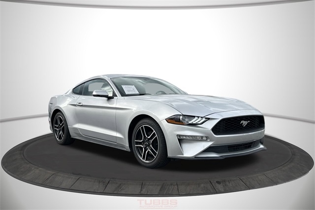 Ford Mustang EcoBoost Fastback 2019