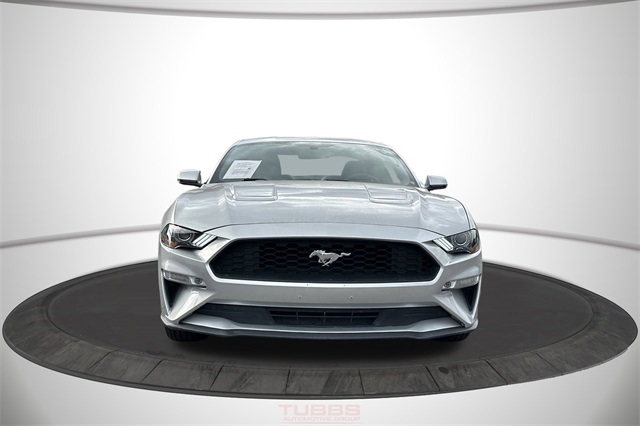 Ford Mustang EcoBoost Fastback 2019
