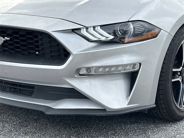 Ford Mustang EcoBoost Fastback 2019