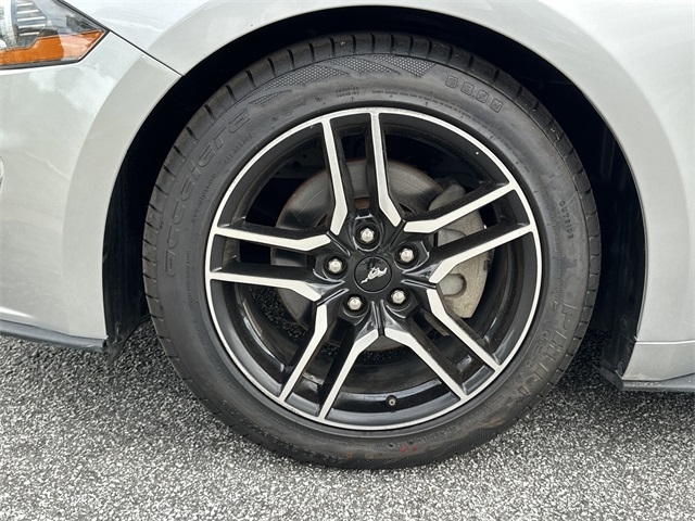 Ford Mustang EcoBoost Fastback 2019