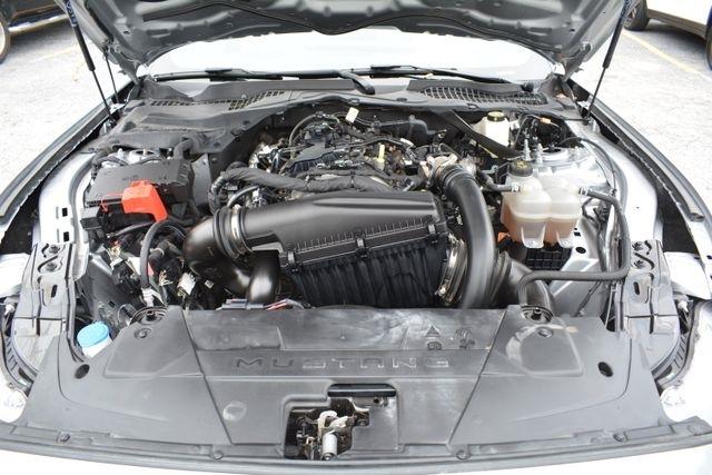 Ford Mustang EcoBoost Convertible 2024