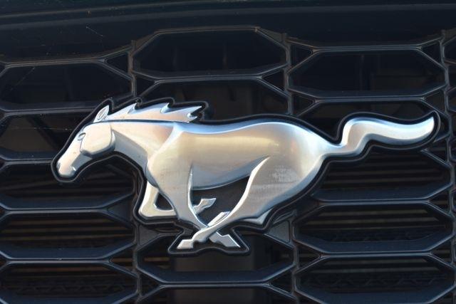 Ford Mustang EcoBoost Fastback 2024