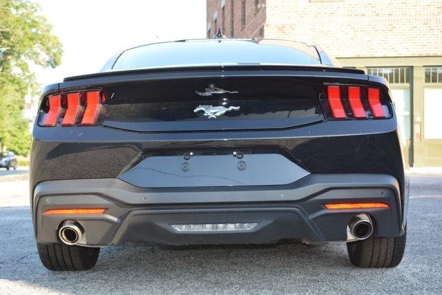 Ford Mustang EcoBoost Fastback 2024