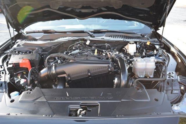 Ford Mustang EcoBoost Fastback 2024