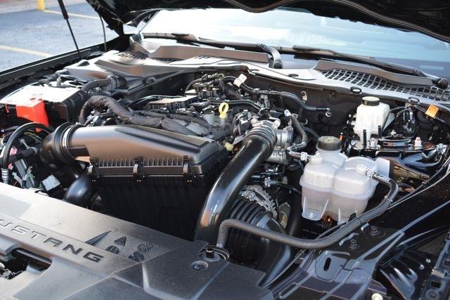 Ford Mustang EcoBoost Fastback 2024
