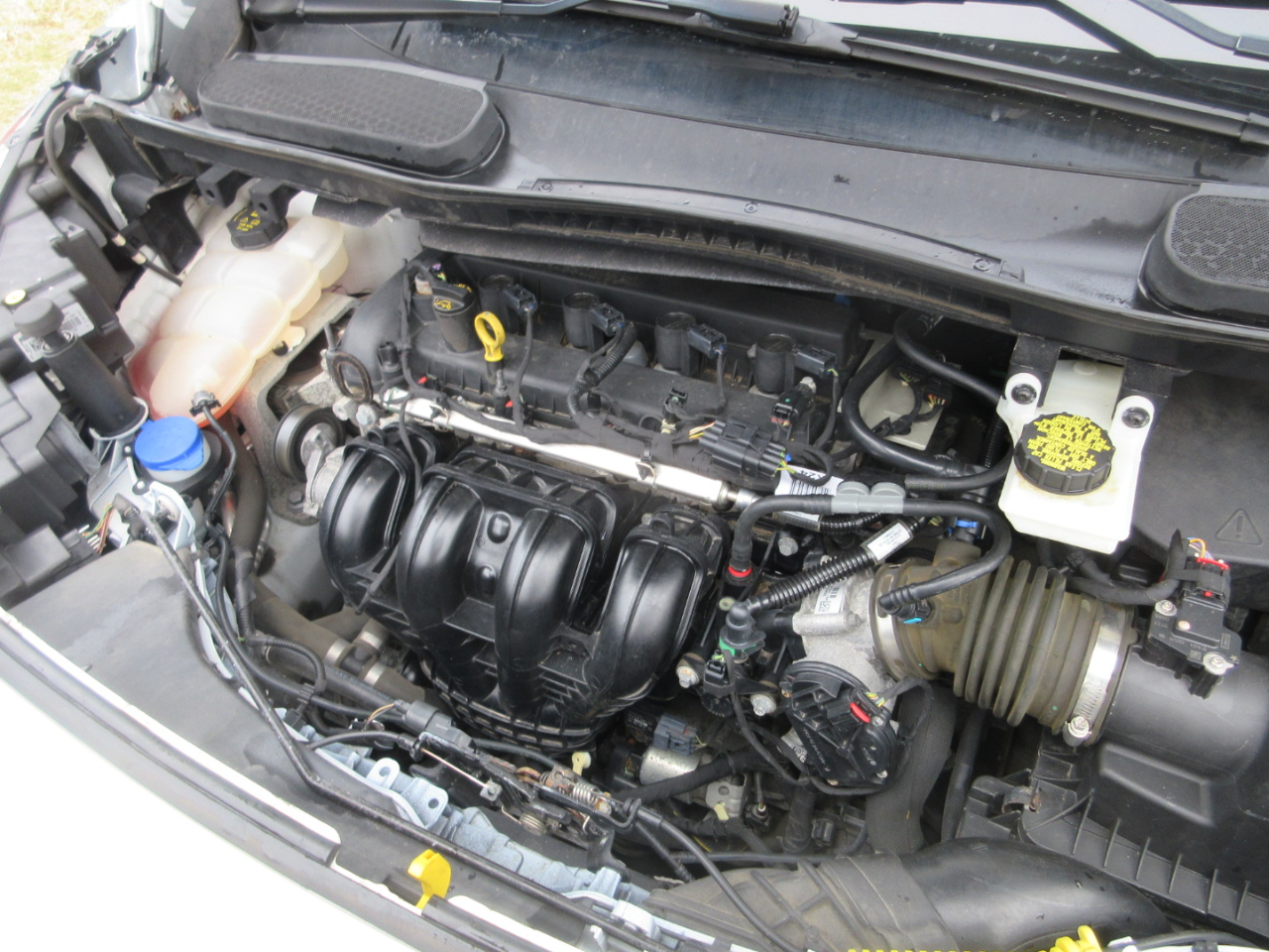 Ford Transit Connect Cargo Van XLT LWB w/Rear 180 Degree Door 2020