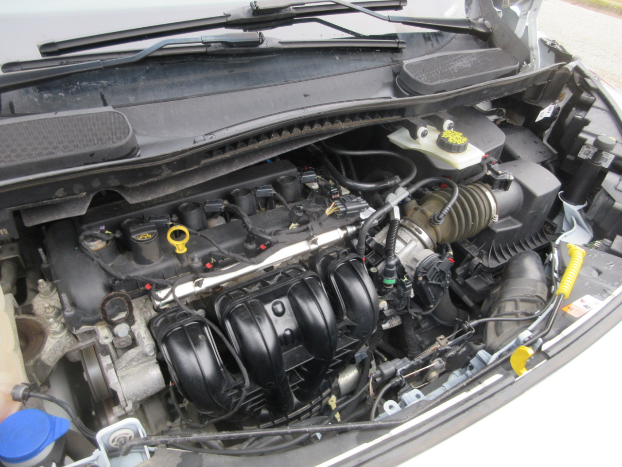 Ford Transit Connect Cargo Van XLT LWB w/Rear 180 Degree Door 2020