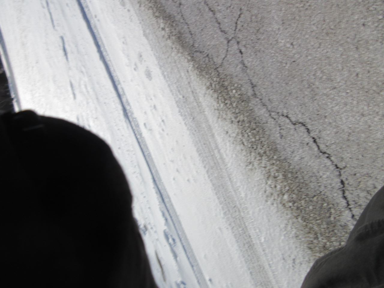 Ford Transit 250 Van Low Roof 60/40 Pass.130-in. WB 2019