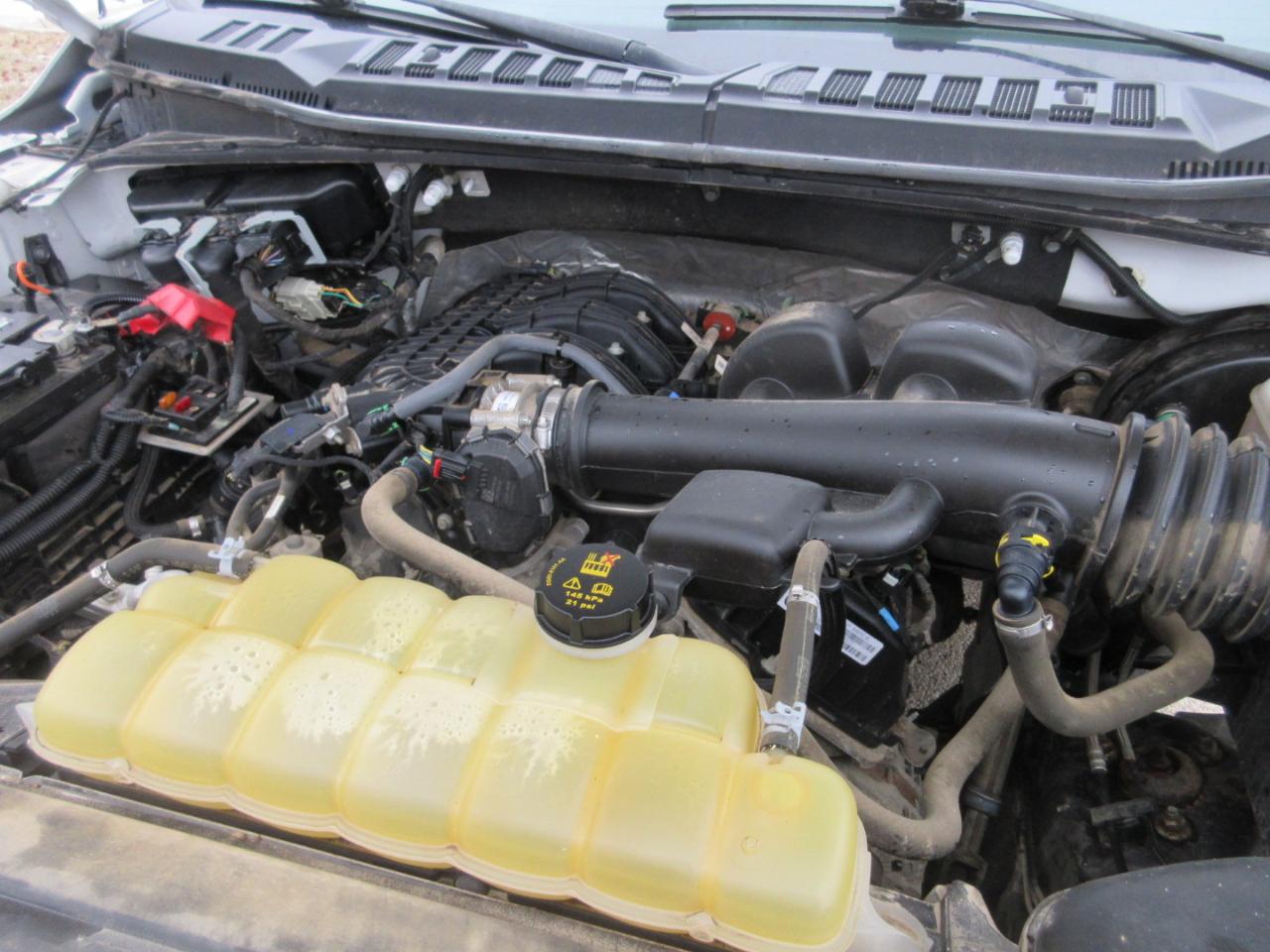 Ford F-150 XL SuperCab 6.5-ft. Bed 2WD 2019