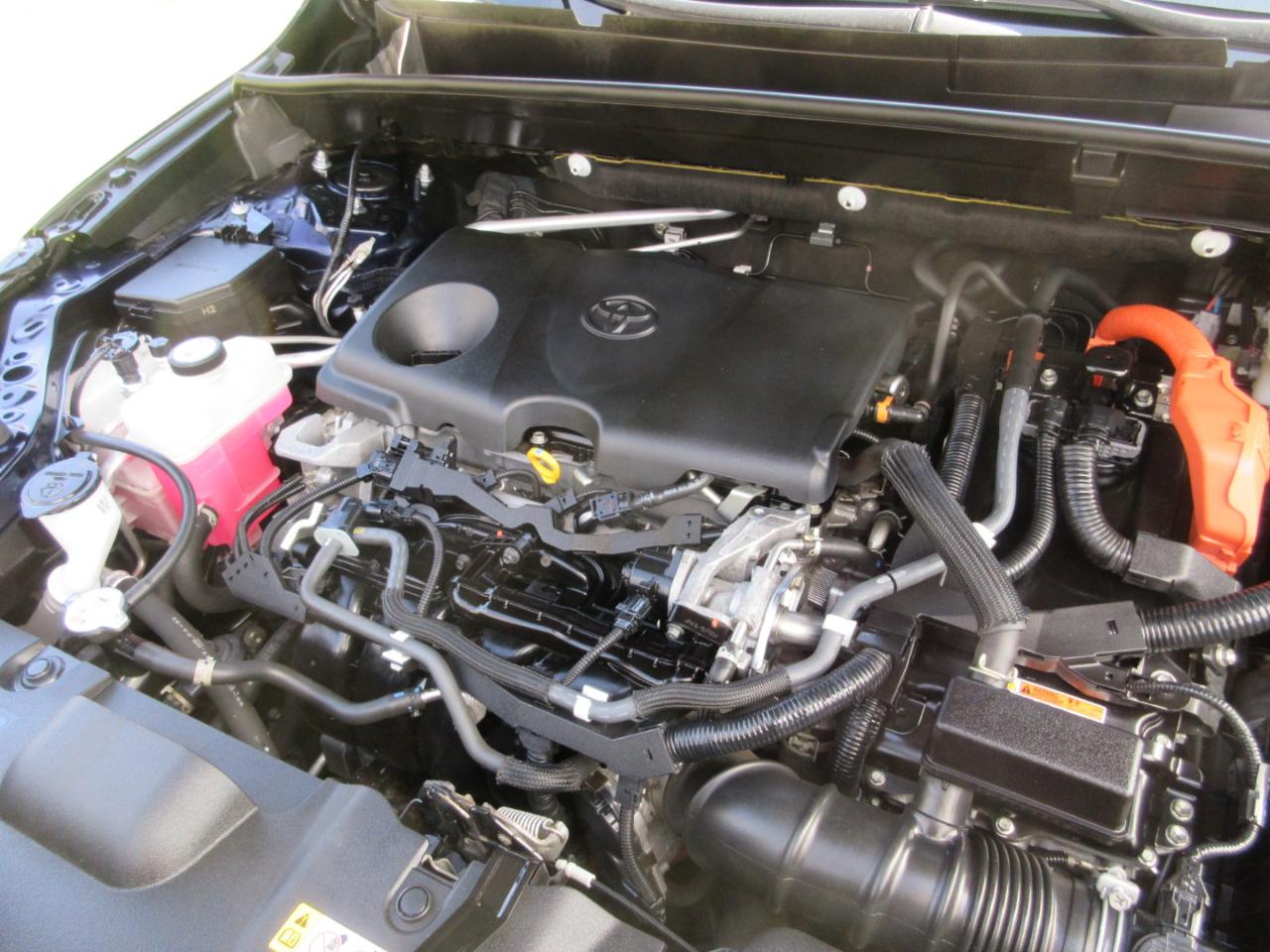 Toyota Venza LE AWD (Natl) 2021