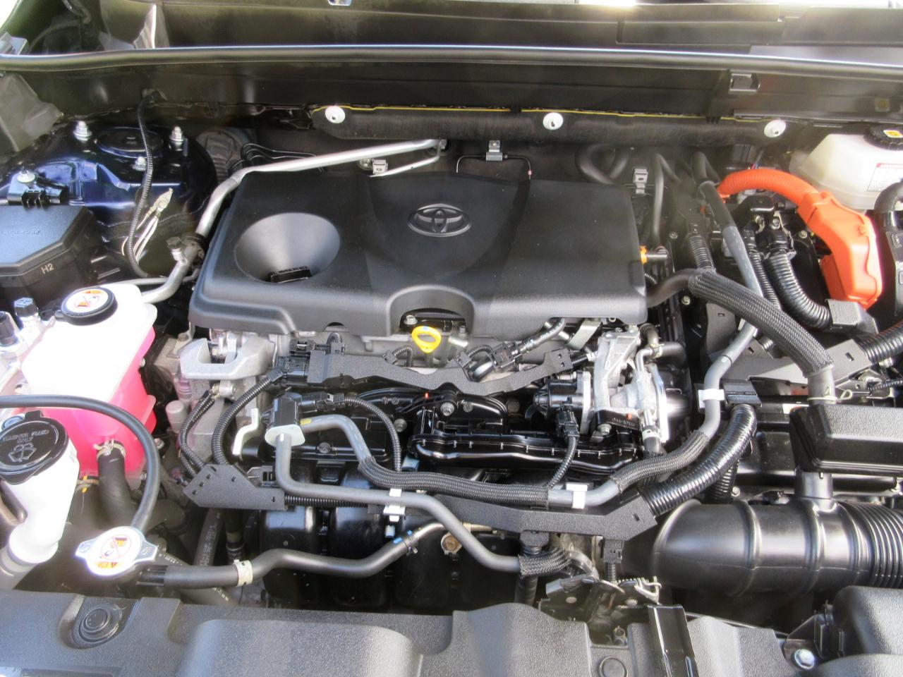 Toyota Venza LE AWD (Natl) 2021