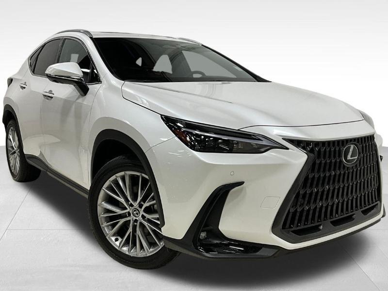 Lexus NX 350  2025