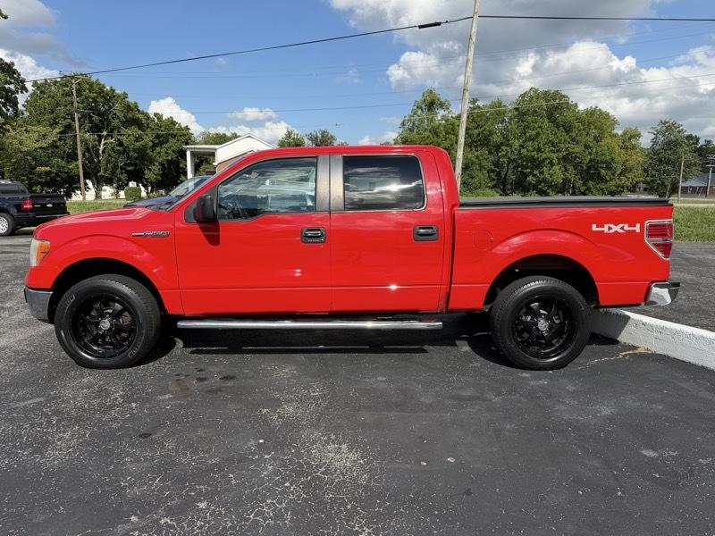 Ford F-150 XLT SuperCrew 6.5-ft. Bed 4WD 2012