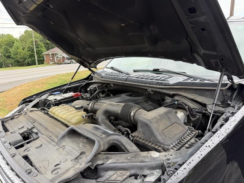 Ford F-150 XLT SuperCrew 5.5-ft. Bed 4WD 2019