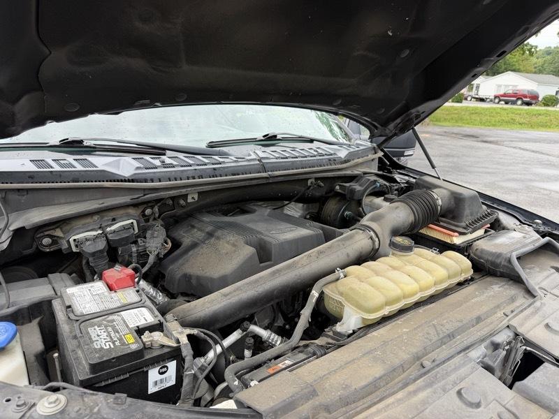 Ford F-150 XLT SuperCrew 5.5-ft. Bed 4WD 2019