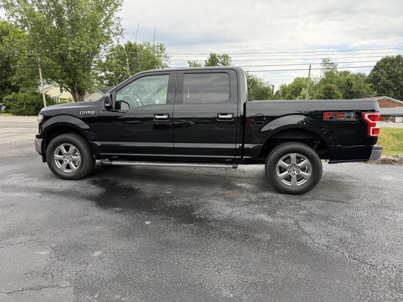 Ford F-150 XLT SuperCrew 5.5-ft. Bed 4WD 2019