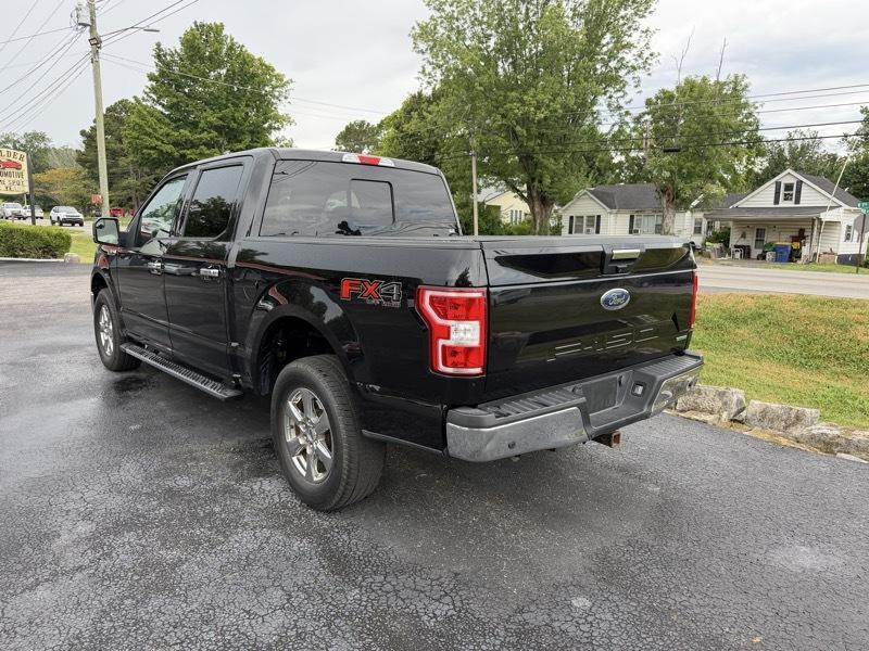 Ford F-150 XLT SuperCrew 5.5-ft. Bed 4WD 2019