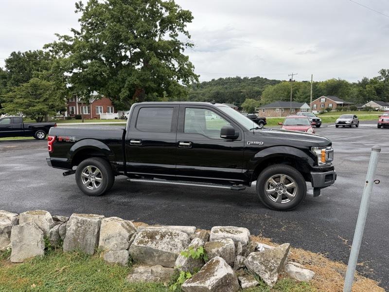 Ford F-150 XLT SuperCrew 5.5-ft. Bed 4WD 2019