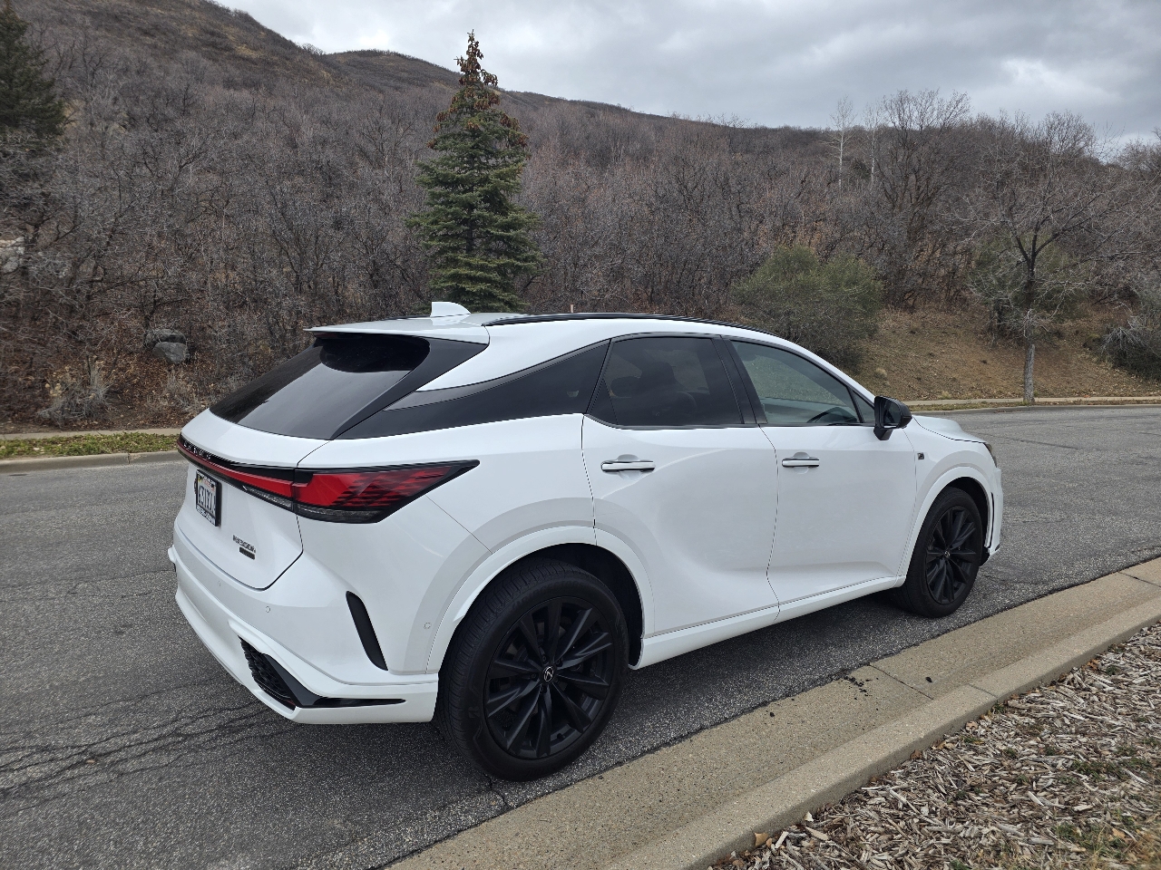 Lexus RX RX 500h F SPORT Performance AWD 2023