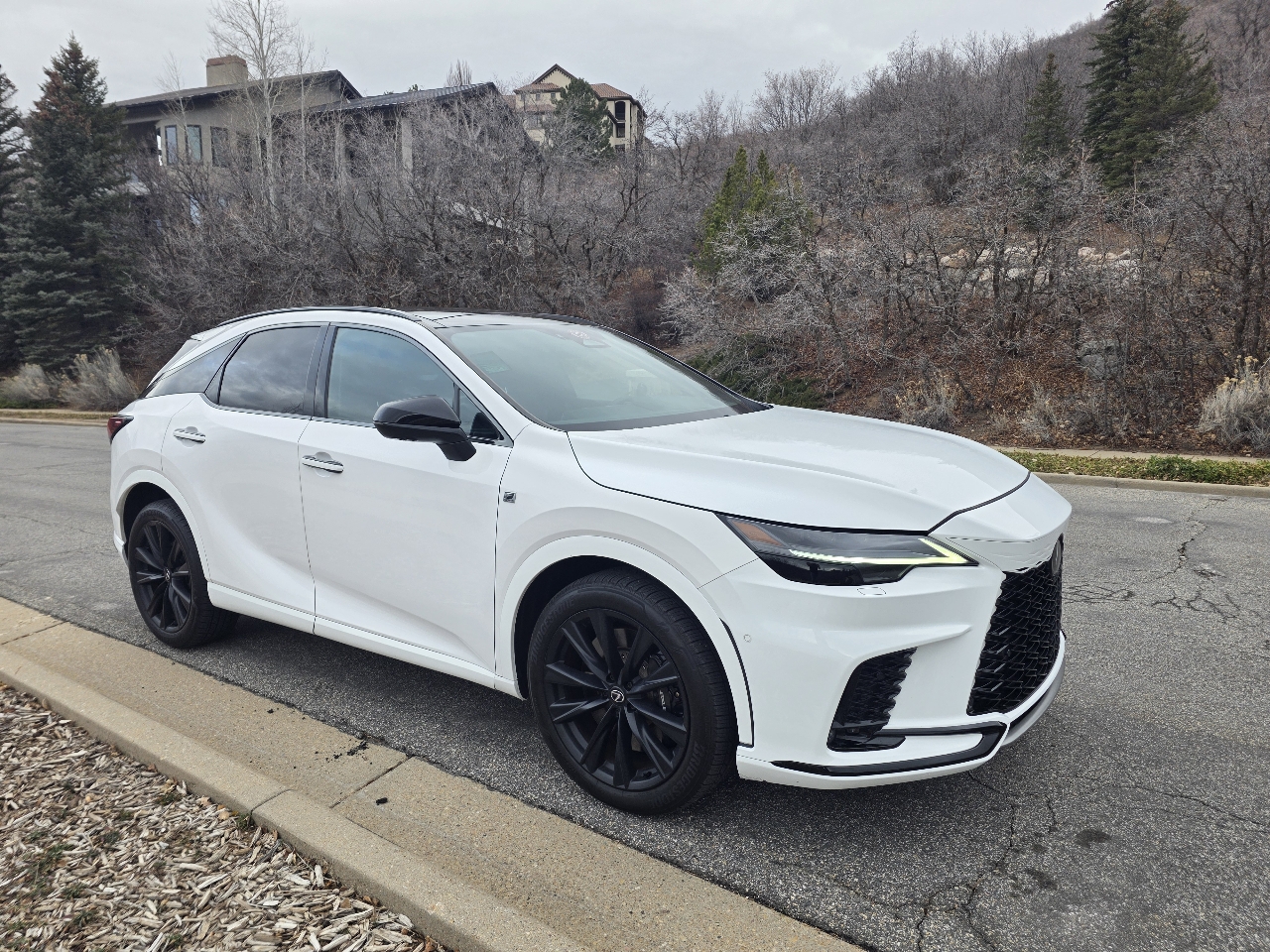 Lexus RX RX 500h F SPORT Performance AWD 2023