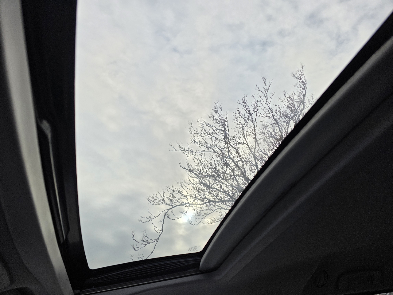 Toyota Sienna XLE Auto Access Seat FWD 7-Passenger (Natl) 2017