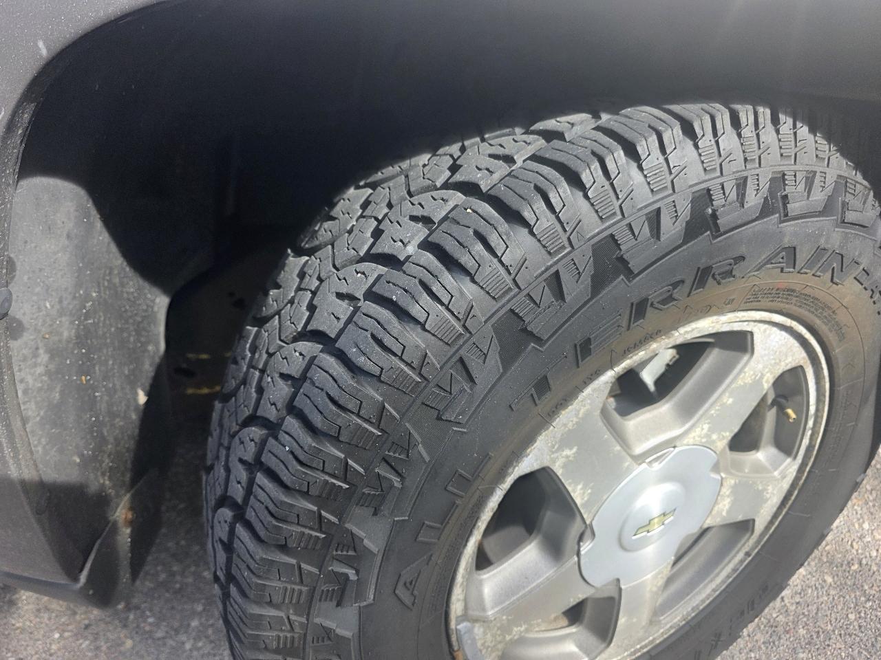 Chevrolet TrailBlazer 4dr 4WD LS 2006