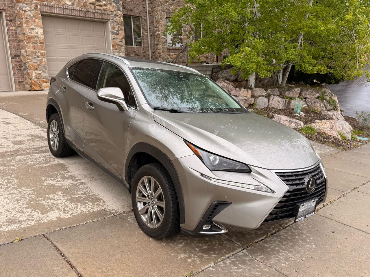 Lexus NX NX 300 AWD 2020