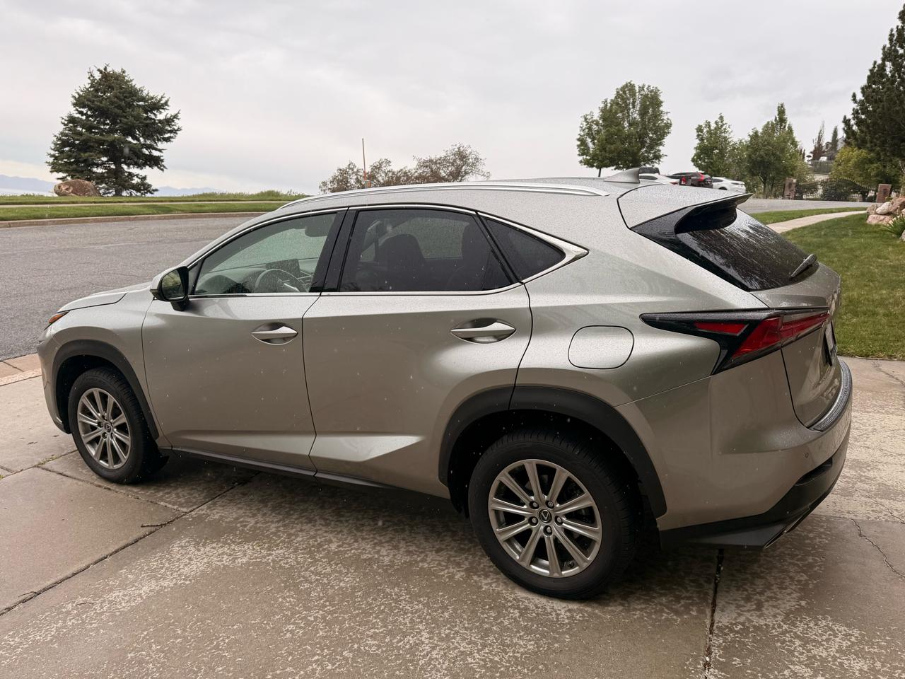 Lexus NX NX 300 AWD 2020