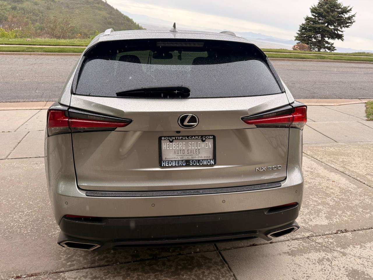 Lexus NX NX 300 AWD 2020
