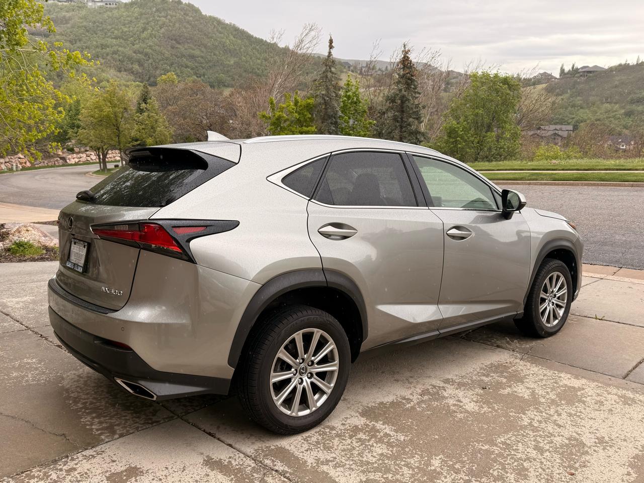 Lexus NX NX 300 AWD 2020