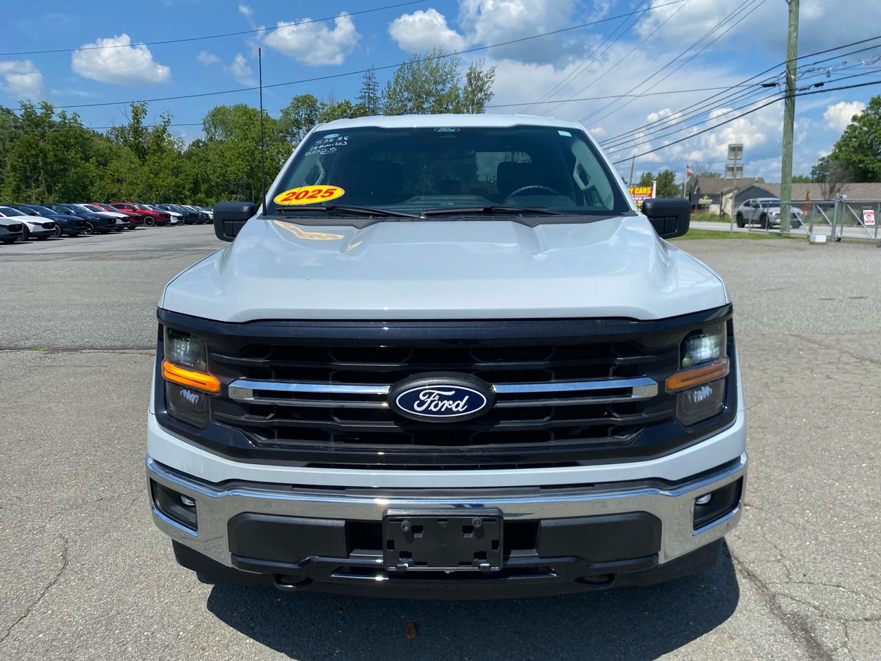 Ford F-150 XLT 4WD SuperCrew 5.5' Box 2025
