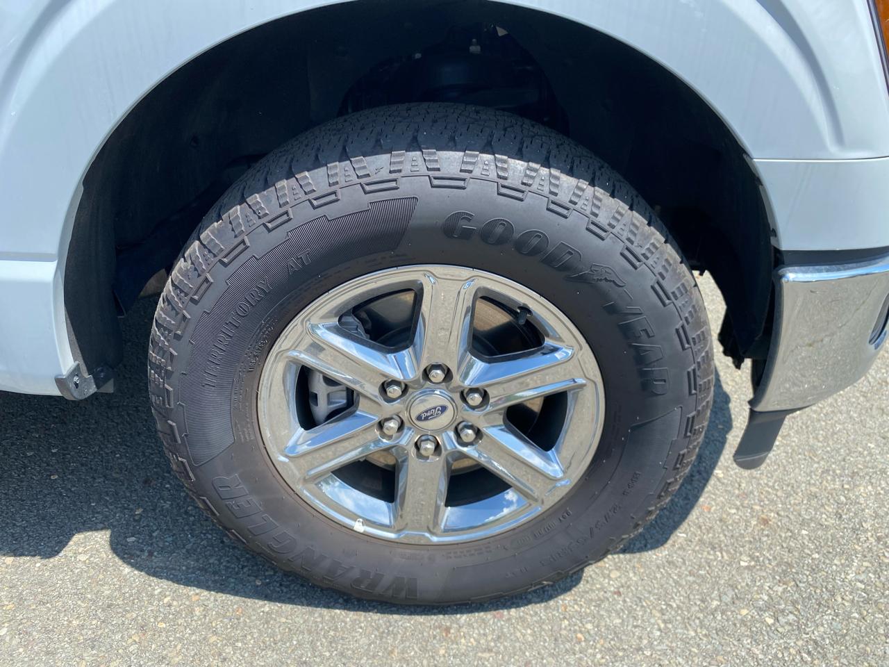 Ford F-150 XLT 4WD SuperCrew 5.5' Box 2025