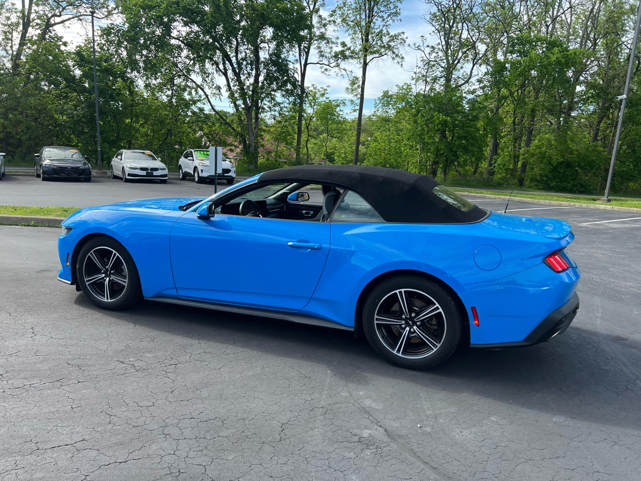 Ford Mustang EcoBoost Convertible 2024