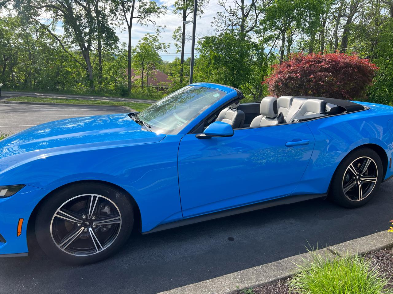Ford Mustang EcoBoost Convertible 2024