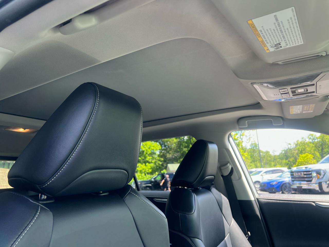 Toyota RAV4 Limited AWD (Natl) 2019