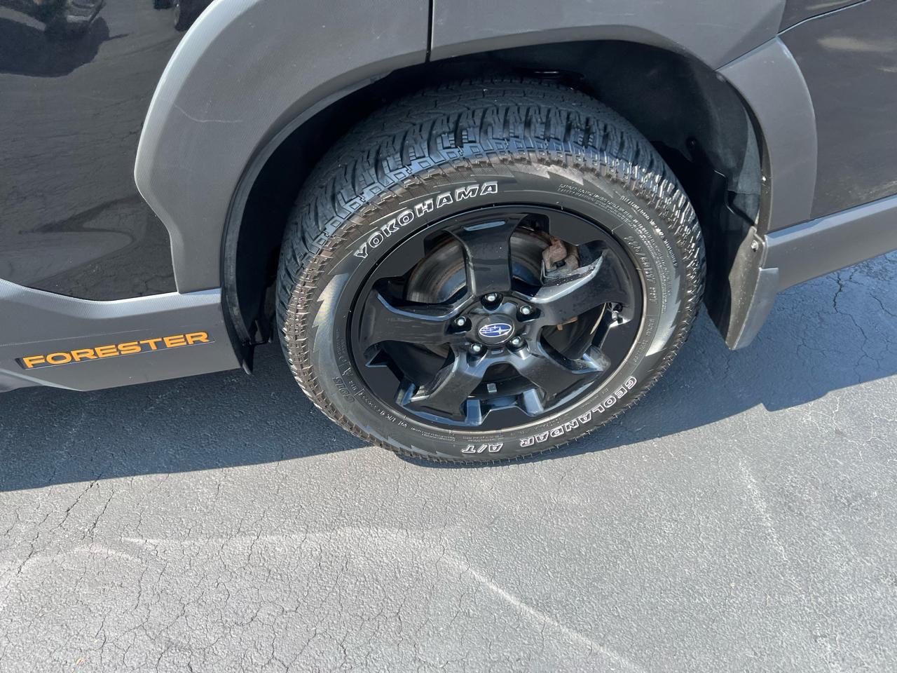 Subaru Forester Wilderness AWD 2024