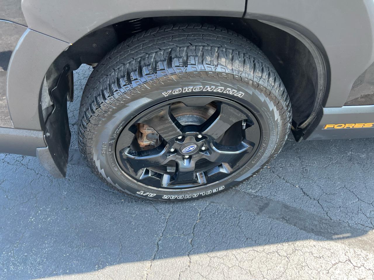 Subaru Forester Wilderness AWD 2024