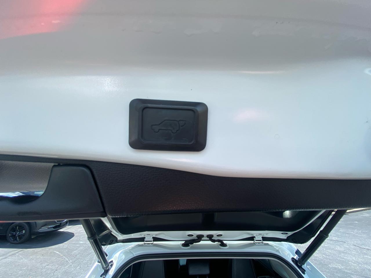 Toyota RAV4 Limited AWD (Natl) 2019