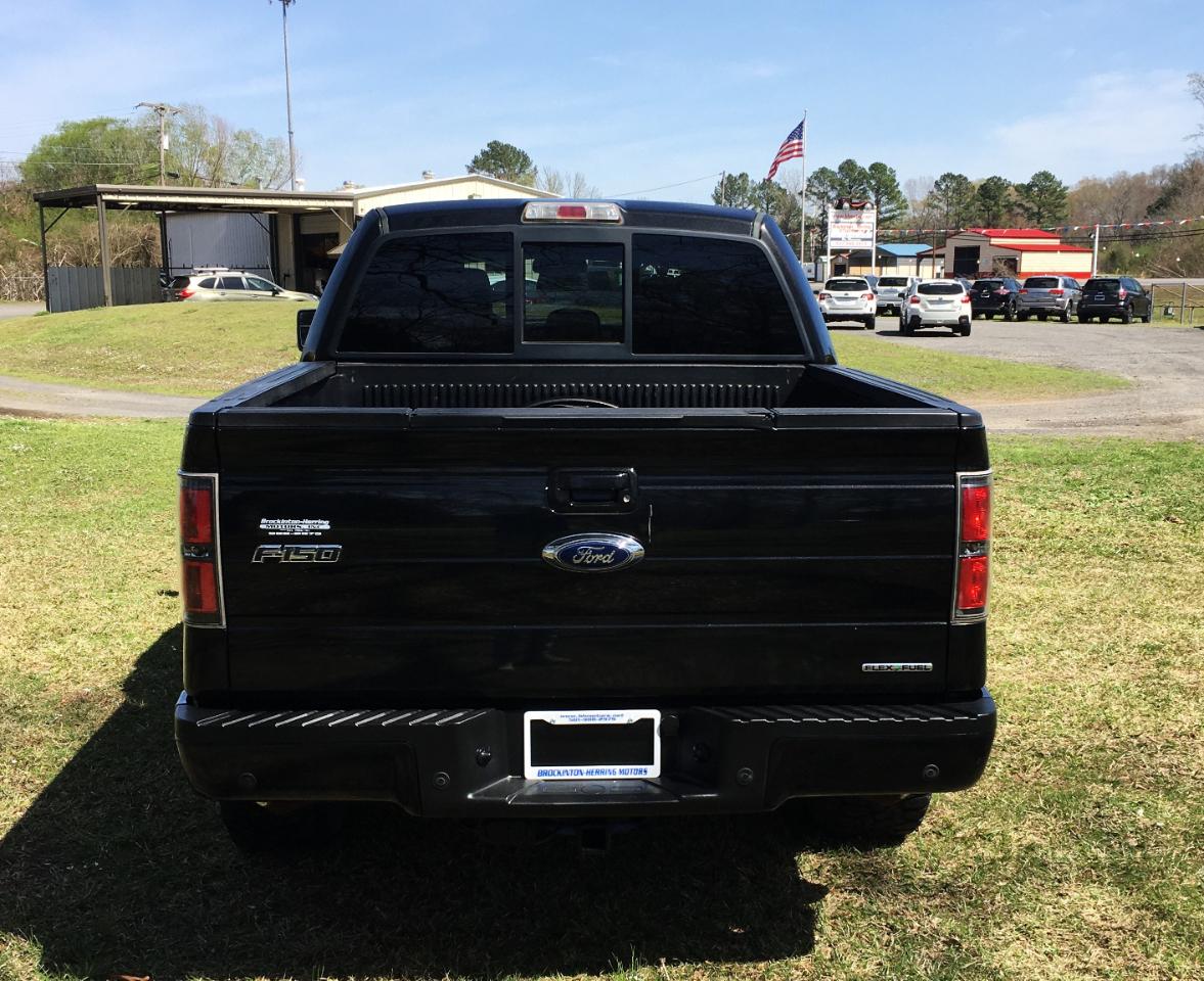 Ford F-150 4WD SuperCrew 145" Platinum 2013