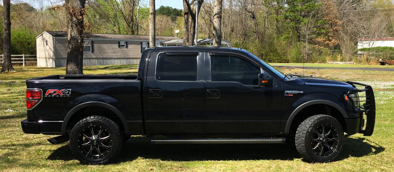 Ford F-150 4WD SuperCrew 145" Platinum 2013