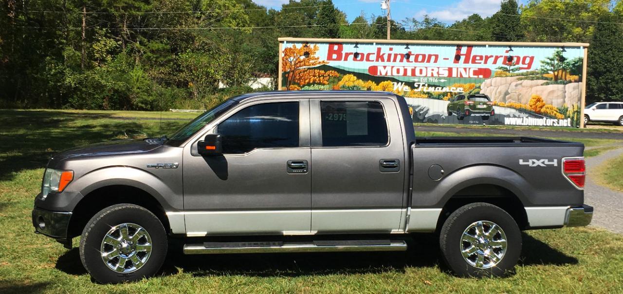 Ford F-150 4WD SuperCrew 145" Platinum 2014