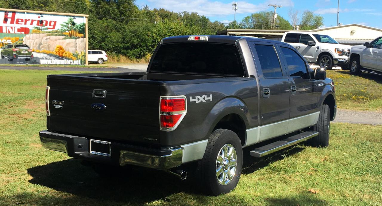 Ford F-150 4WD SuperCrew 145" Platinum 2014