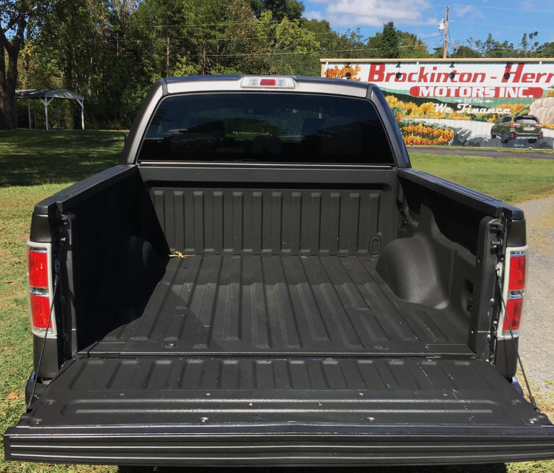 Ford F-150 4WD SuperCrew 145" Platinum 2014