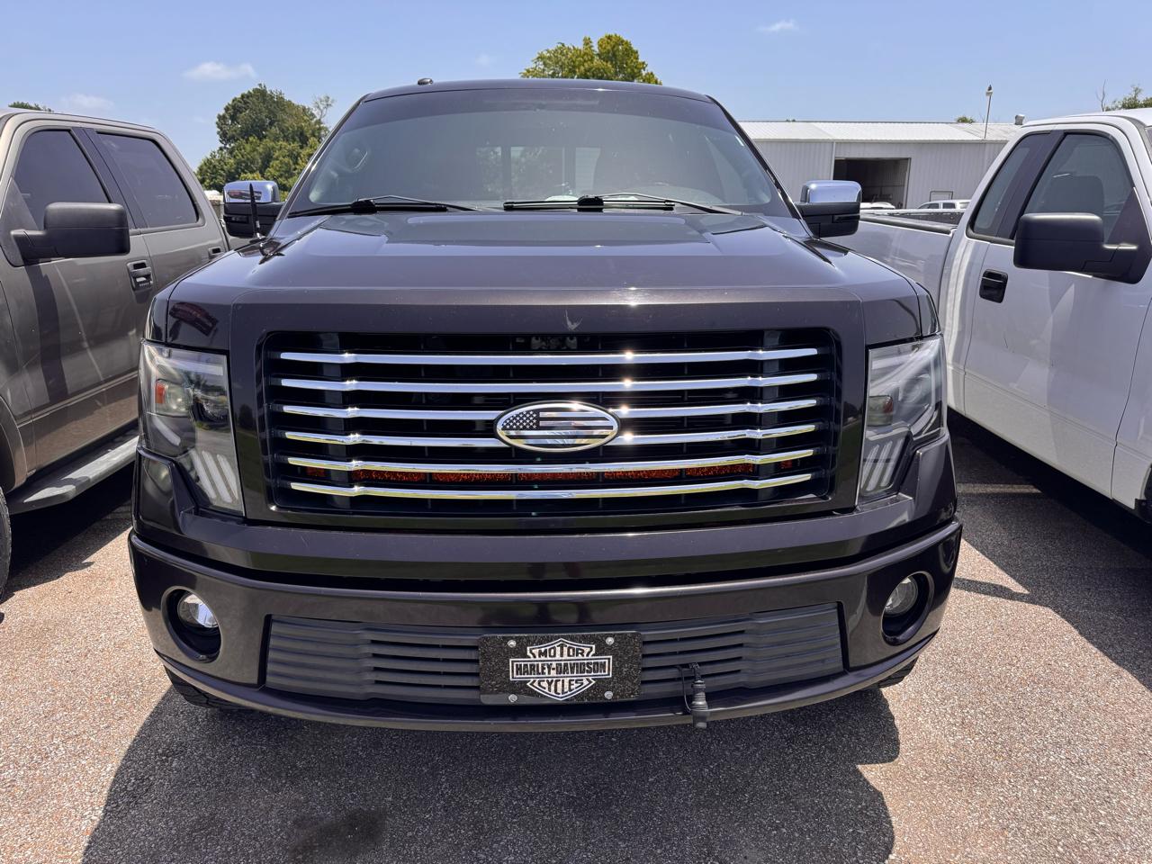 Ford F-150 AWD SuperCrew 145" Harley-Davidson 2010