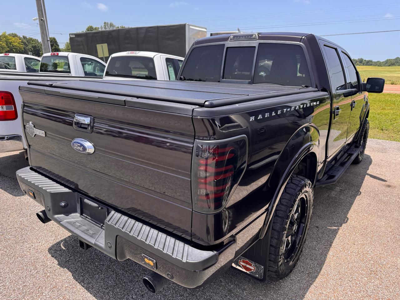 Ford F-150 AWD SuperCrew 145" Harley-Davidson 2010