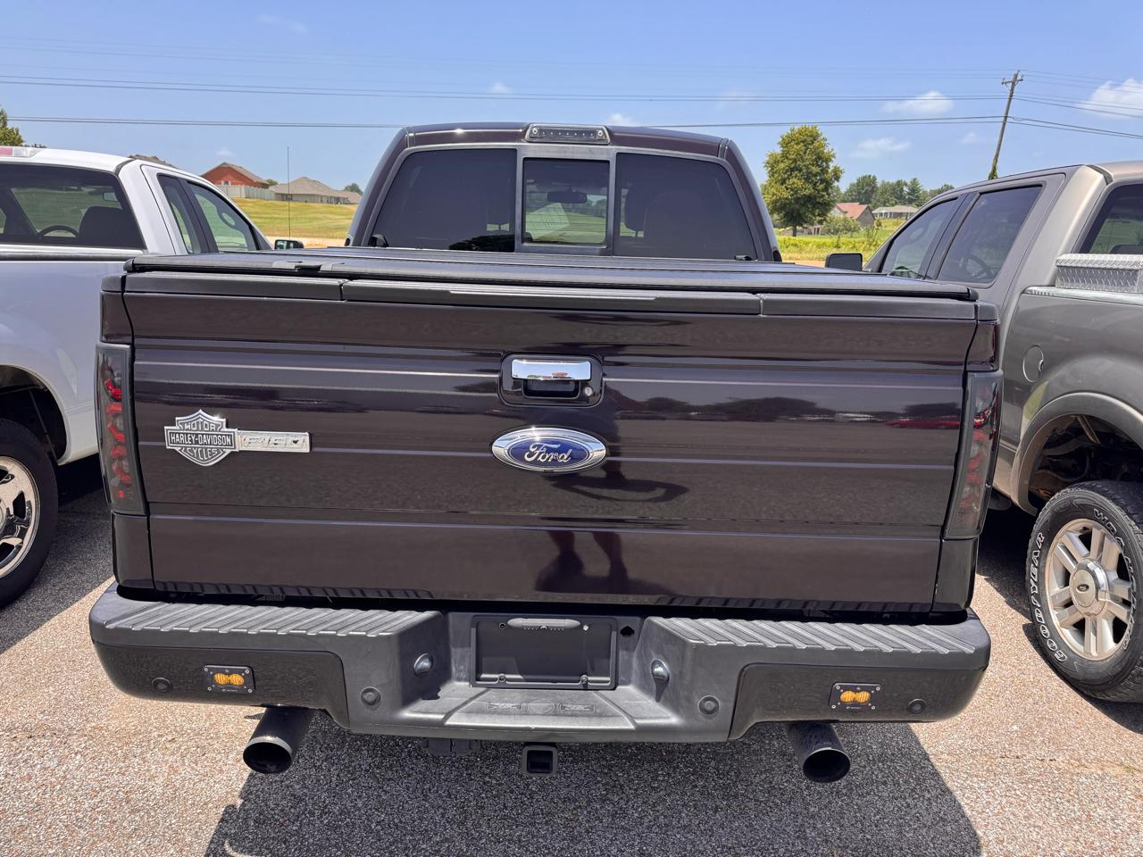 Ford F-150 AWD SuperCrew 145" Harley-Davidson 2010