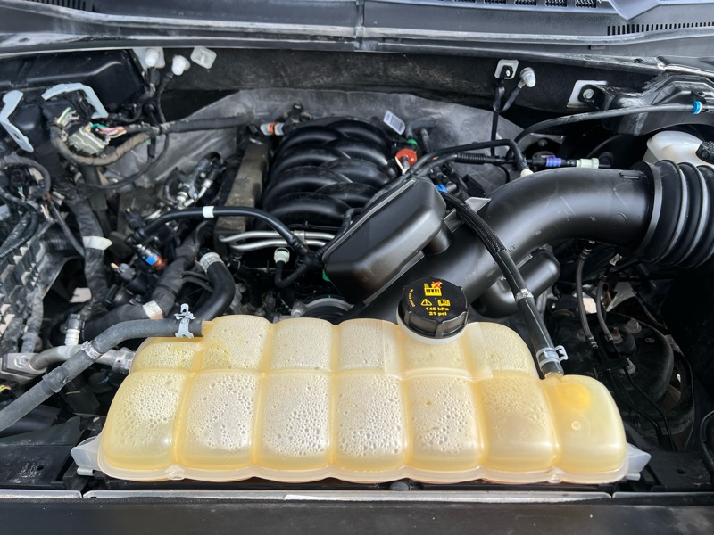 Ford F-150 4WD SuperCrew 139" FX4 2019