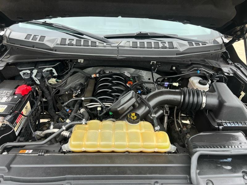 Ford F-150 4WD SuperCrew 150" XLT 2019