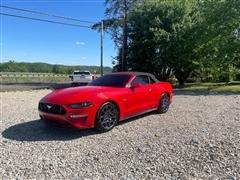 2019 Ford Mustang 